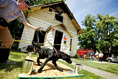 &lt;p&gt;Rick Freier, the Spokane Valley Fire Department Assistant Fire Marshal, follows his dog Mako through samples collected from a fire scene being investigated as an arson Friday in Coeur d'Alene at the corner of Seventh Street and Elm Avenue. The Coeur d'Alene Fire Department responded to the vacated home at 4:26 a.m. where crews discovered the two-story residence with heavy fire showing from the main floor and extending to the second floor.&lt;/p&gt;