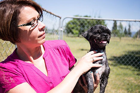 &lt;p&gt;Juanita Trapp, an employee at Kootenai Humane Society holds Casey, a five year old perviously neglected shih tzu mix, Thursday at the humane society in Hayden. Casey was found malnourished along Ramsey Road and Highway 41.&lt;/p&gt;