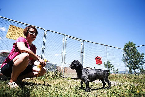 &lt;p&gt;Juanita Trapp takes shih tzu mix, Casey, for a walk Thursday afternoon. Casey was previously neglected and will not be able to be released from the shelter due the process of his situation for at least seven days.&lt;/p&gt;