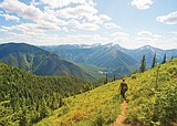 Flathead Forest seeking input on extensive road system