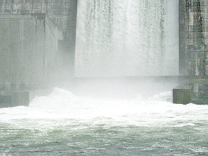 &lt;p&gt;As water cascades down the spillway, it crashes into the spill basin where the water becomes turbulent and extremely oxygenated. At intervals on Saturday, the highly agitated water shot up six to eight feet above the basin. It is this process of highly oxygenated water, called gas-bubble trauma, that concerns fisheries biologists and its effects on various species.&lt;/p&gt;