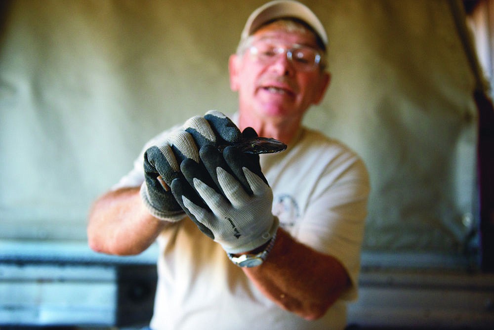 &lt;p&gt;Donald Safford demonstrates the technique of flint knapping using a piece of man-made glass.&lt;/p&gt;