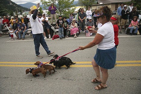 &lt;p&gt;A group of dachshunds stroll down the parade route of Saturday's annual Bayview Daze parade.&lt;/p&gt;