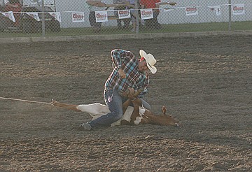 &lt;p&gt;Pete White of Ronan makes quick work of his calf in the tie down roping event.&lt;/p&gt;