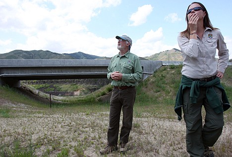 &lt;p&gt;Idaho Fish and Game Wildlife biologists Ed Bottum and Krista Muller at the wildlife underpass under Highway 21 north of the Moore's Creek Bridge on May 22, 2012 that allows big game, including deer and elk, to safely pass through. In 33 years of data collection, there were 100 recorded deer fatalities at or near the site of the underpass. Since it was installed in December of 2012, there have been none. An average of 2,600 vehicles travel to and from the Boise area on Idaho 21 each day. (AP Photo/Joe Jaszewski, Idaho Statesman)&lt;/p&gt;