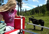 Dayton students visit Bigfork ranch
