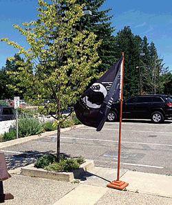 &lt;p&gt;This newly-planted tree was dedicated by the city Monday in honor of Sgt. Bowe Bergdahl, an Idaho native and the last remaining American POW overseas. (Photo courtesy PAM STOUT)&lt;/p&gt;