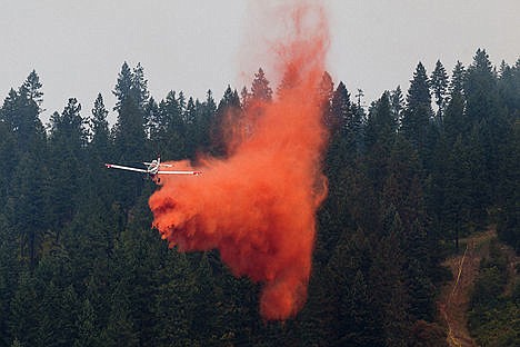 &lt;p&gt;An airplane used in air support efforts drops fire retardant near the perimeter of the Cape Horn fire in Bayview.&lt;/p&gt;