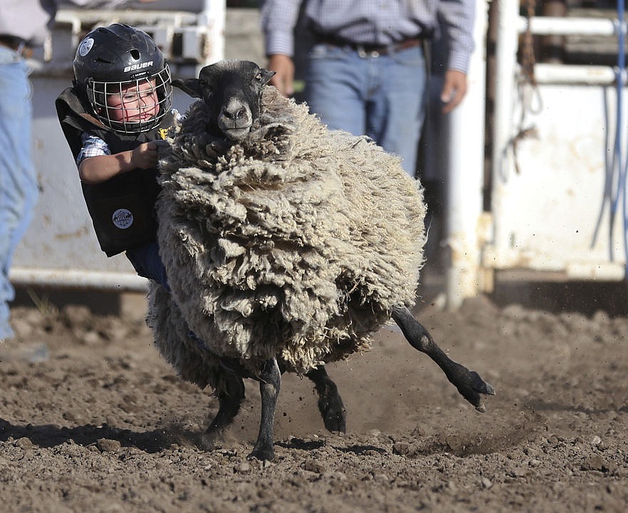 &lt;p&gt;Kylie Richter/ Lake County Leader Mikah Lamberson, 3, of Polson, tries his hand at mutton bustin' on Friday afternoon at the Mission Mountain rodeo in Polson.&lt;/p&gt;