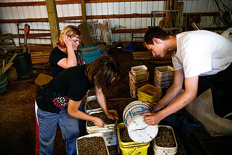 &lt;p&gt;Noelle Stutheit, 16, Sarah Stutheit, 14, and Brandon Ove, 17, scoop buckets of pellets to feed the horses at Harmony Ranch Therapeutic Riding Center.&lt;/p&gt;