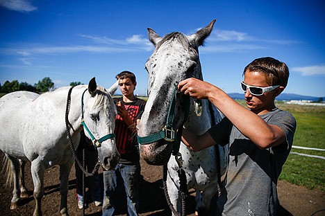 &lt;p&gt;Steevn Sporleder and John Souza put bridles on two of the therapy horses, Boomerang and Jubilee, to prepare for the riding part of their class at Harmony Ranch Therapeutic Riding Center. The class meets for ten weeks every Tuesday for two hours.&lt;/p&gt;