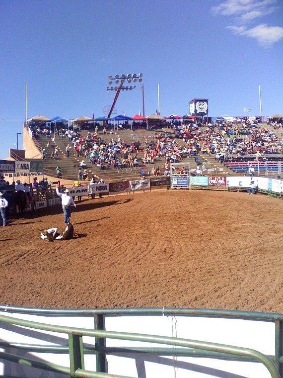 Will Powell places fourth in the chute dogging competition in the 8th round of the Junior Rodeo Nationals last weekend in Gallup, N.M.