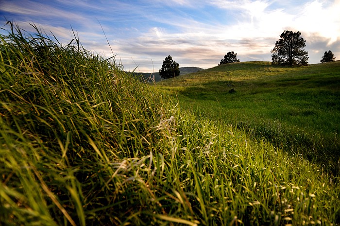 &lt;p&gt;Sunset view of the Lost Trail National Wildlife Refuge on Wednesday, June 20, west of Marion.&lt;/p&gt;