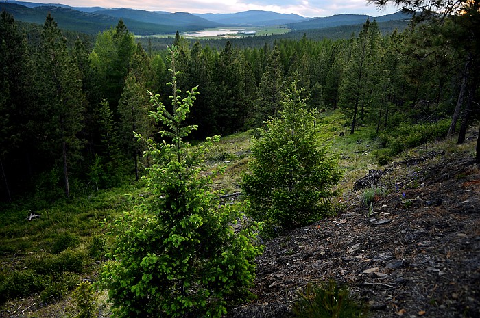 &lt;p&gt;Scenic overlook of the Lost Trail National Wildlife Refuge on Wednesday, June 20, west of Marion.&lt;/p&gt;