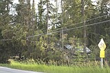 Wind storm