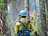 Old Airstrip Fire burning on Crane Mountain