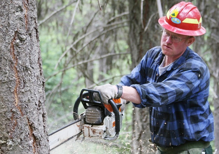 Doug Browning works on a tree as part of a demonstration on how to properly fell a tree.