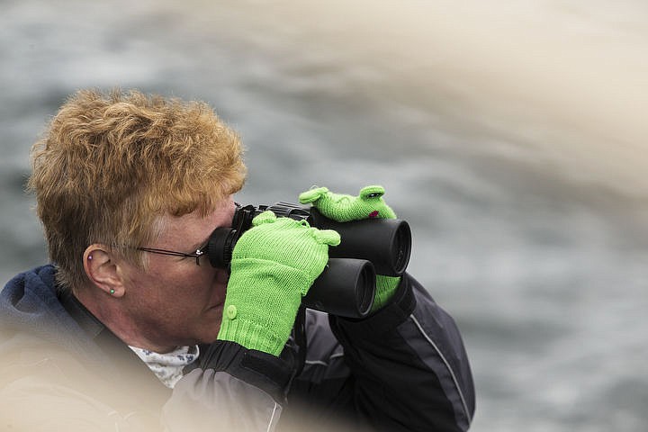 &lt;p&gt;LOREN BENOIT/Press Nancy Platt, of Coeur d'Alene, looks through her binoculars as Wildlife biologist Wayne Melquist lifts a young osprey briefly out its nest during an Osprey Cruise on Saturday.&lt;/p&gt;