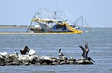 Feds say new cap could control gulf oil leak