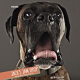 Dogs Across America Are Freaking Out for Mealtime!