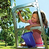 Flathead Lake cherry harvest expected to be average