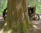 Park picks up 120-acre former Doody Ranch