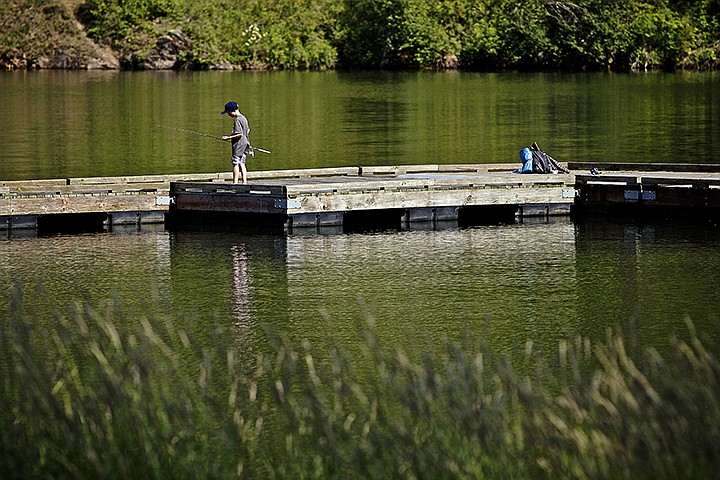 &lt;p&gt;JEROME A. POLLOS/Press Shay Saunders, 9, keeps an eye out for fish swimming under the dock Wednesday at Fernan Lake. The Panhandle Health District and the Idaho Department of Environmental Quality issued a health advisory Wednesday after water samples confirmed the presence of blue-green algae that can produce toxins harmful to humans and animals.&lt;/p&gt;