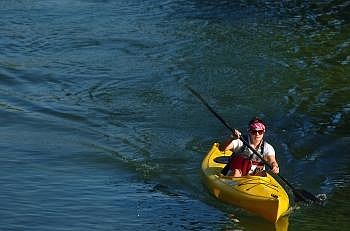 Sierra McCarthey of Team Awesome kayaks back toward Riverside Park during the Glacier Challenge Saturday morning. Last year's event raised roughly $15,000 for the Flathead Youth Home. This year's field increased by over 20 teams. Nate Chute/Daily Inter Lake