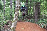 New mountain biking network in Coast Range