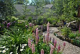 Tour showcases local gardens
