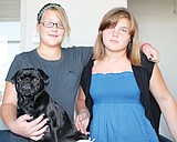 Stratford girl, 11, raises money to help ill dog