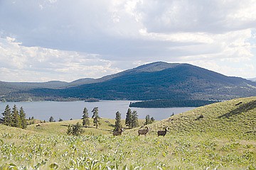 &lt;p&gt;Wild Horse Island is home to six equine inhabitants and around 200 bighorn sheep. Besides close-up views of wildlife, the isolated state park offers amazing views in every direction.&lt;/p&gt;