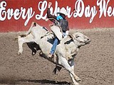 Beck heads to national rodeo