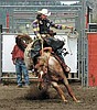 Seven locals head to National Finals