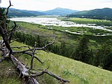 Million dollar grant will preserve habitat for birds