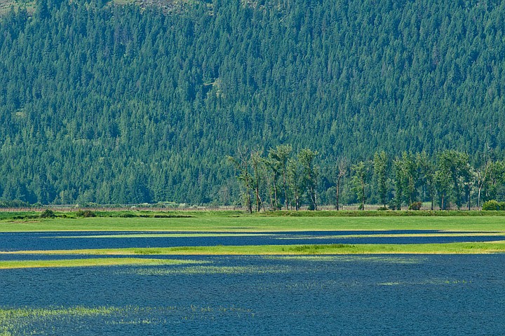 &lt;p&gt;GABE GREEN/Press Fields near the community of Copeland, Idaho, are now covered in water where there once was hundreds of acres of winter wheat, barley, and canola. Flooding is thought to have been caused by record rains in the month of June.&lt;/p&gt;