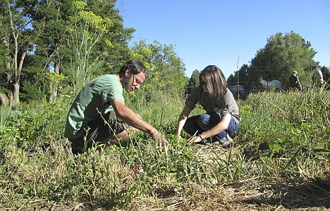 &lt;p&gt;Davey Rodenstein, left, and Lindsay Reiber participate in a &quot;weed dating&quot; event at the Earthly Delights Farm in Boise, Idaho on Thursday, June 28, 2012. The farm is among a handful across the country offering this unconventional form of speed dating, where singles meet while working together in the fields. The payoff for their toil? A chance at romance. (AP Photo/Jessie L. Bonner)&lt;/p&gt;