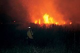 Wildfire prompts emergency proclamation