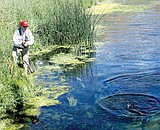 Raffle Permit Hunt deadline a week away