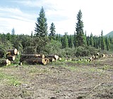 Farm bill could help further timber projects