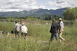 BNSF to halt property purchases