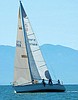 Discovery Benefit Regatta draws largest crowd ever