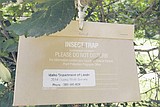 Keeping forest pests in place