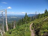 Great Hikes near Bigfork: Red Owl burn