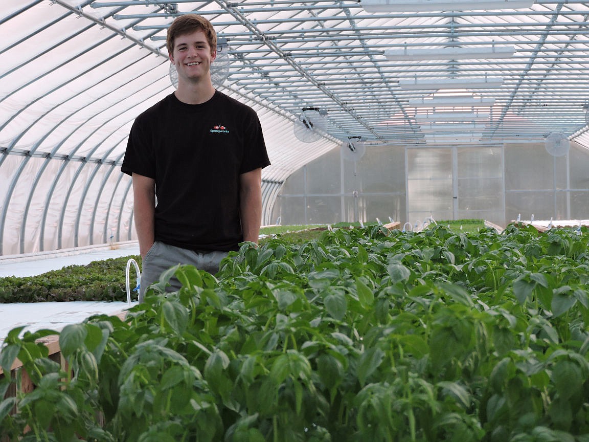 &lt;p&gt;&lt;strong&gt;Springworks founder&lt;/strong&gt; 20-year-old Trevor Kenkel stands near a crop of basil grown using an aquaponics system that operates in a 6,000 square-foot greenhouse. Kenkel, a Glacier High School graduate, has been interested in aquaponics as a sustainable method of agriculture since building his first system at 14.&lt;/p&gt;