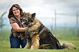 Animal Advocate