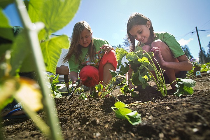 &lt;p&gt;SHAWN GUST/Press Hanna Smith, right, and Aubrey Starchman, president of the Go Green Club at John Brown Elementary School, plant strawberry plants in the Rathdrum community garden on Tuesday as part of the group's summer program.&lt;/p&gt;