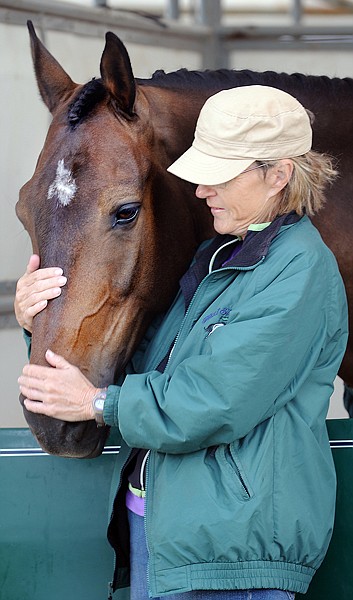 Loucille Battig of Sacramento, Calif., gently pats the nose of Borneo Royale, an Irish Sport horse that was ridden by Nora Battig in the CCI* competition.