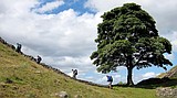 Welcome to Hadrian's Wall