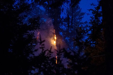 &lt;p&gt;Flames climb a tree after a fire broke out on Tubbs Hill. Authorities believe the fire was human-caused.&lt;/p&gt;